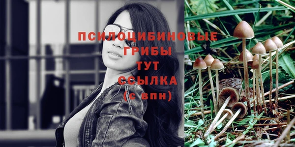 СК Армянск